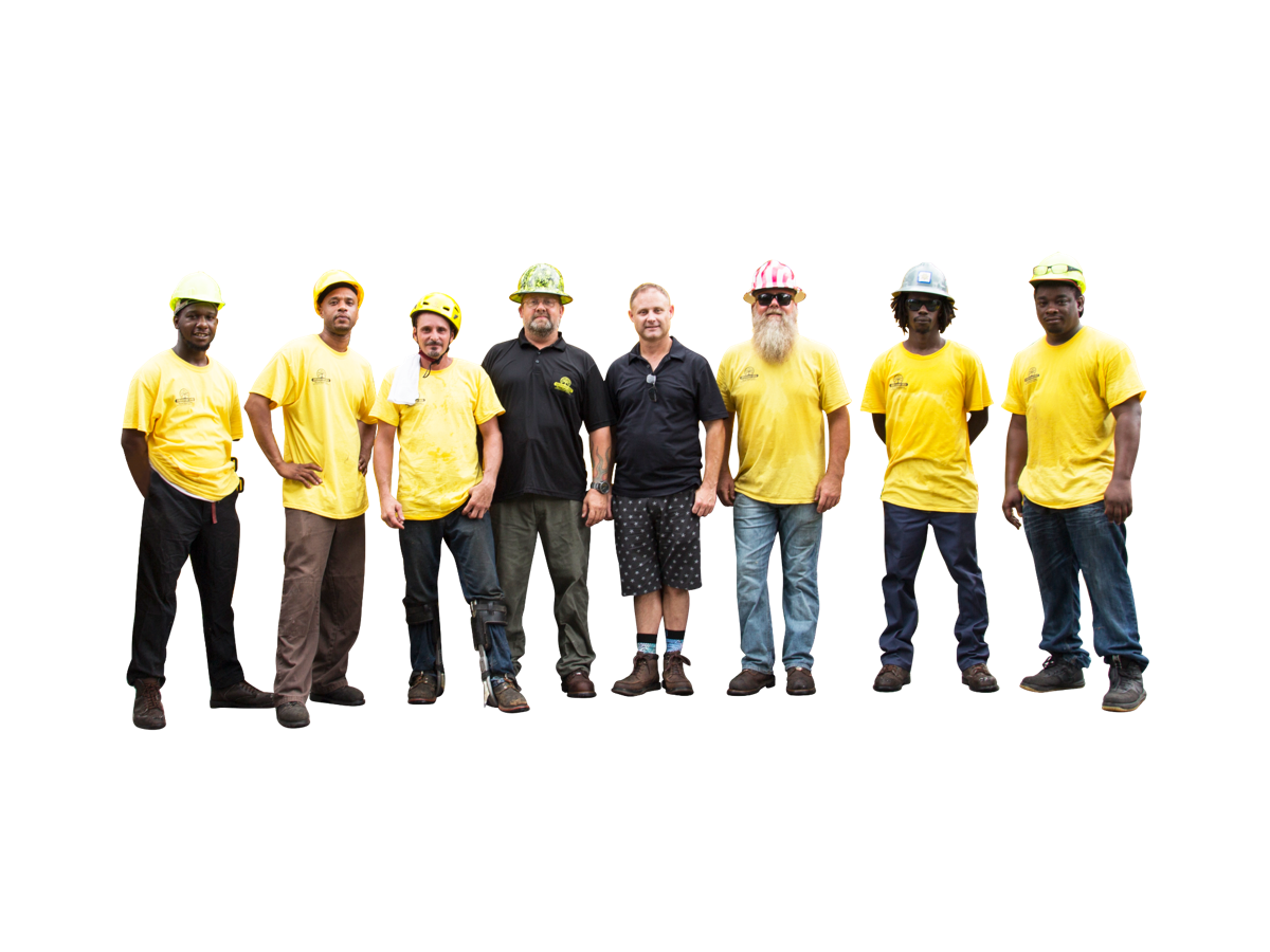 The Bay Area Tree and Bobcat Services team standing together in work shirts and safety helmets
